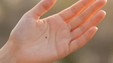 Phụ nữ có nốt ruồi trong lòng bàn tay trái thể hiện ý nghĩa phong thủy và tài lộc