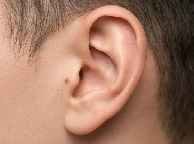 Nốt ruồi ở vành tai: Ý nghĩa tướng số và lưu ý tẩy an toàn 2 Bảng phân tích chi tiết vận mệnh khi có nốt ruồi ở vành tai theo từng giới tính và vị trí cụ thể