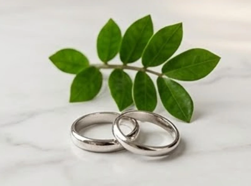 Hai chiếc nhẫn cưới bằng vàng trắng đặt lồng vào nhau bên cạnh chậu cây kim tiền nhỏ nhắn