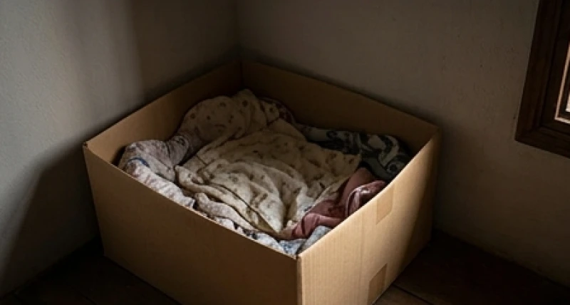 Một chiếc thùng carton lót vải cotton cũ sạch sẽ được đặt ở góc tường kín đáo làm ổ êm ái cho mèo mẹ