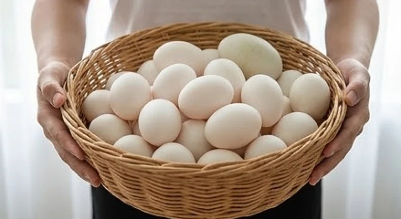 Mơ thấy nhặt được nhiều trứng vịt: Điềm báo & bộ số tài lộc 7 Hai bàn tay ôm trọn một rổ mây lớn chứa đầy trứng vịt trắng tinh cùng vài quả trứng ngỗng to tròn
