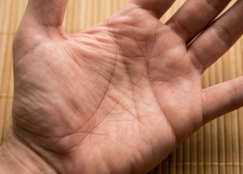 Bàn tay đang được kéo căng để kiểm tra độ sâu và tính liền mạch của các đường chỉ tay phong thủy