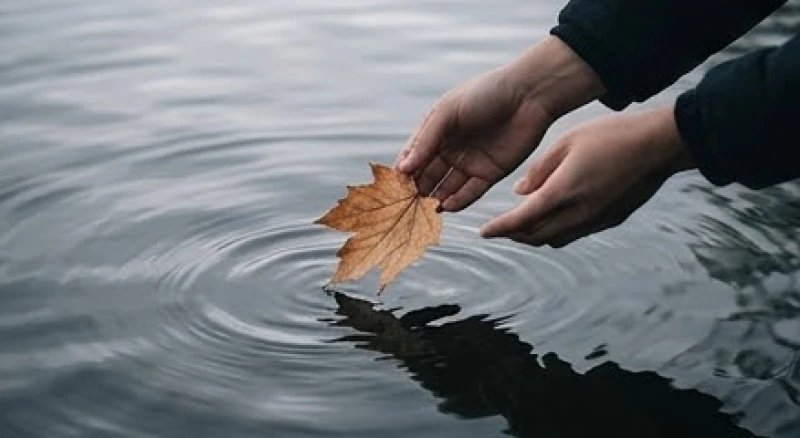 Giải mã mơ thấy cá chết: Điềm báo theo loài cá & cách hóa giải 6 Đôi tay nhẹ nhàng thả một chiếc lá khô trôi trên mặt nước gợn sóng êm đềm