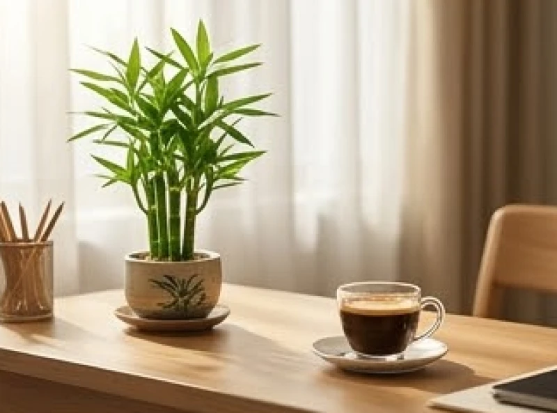 Chọn ngày tốt cho tuổi Tỵ: bảng lịch 12 tháng và văn khấn 7 Không gian làm việc mới được sắp xếp gọn gàng theo chuẩn phong thủy đón tài lộc
