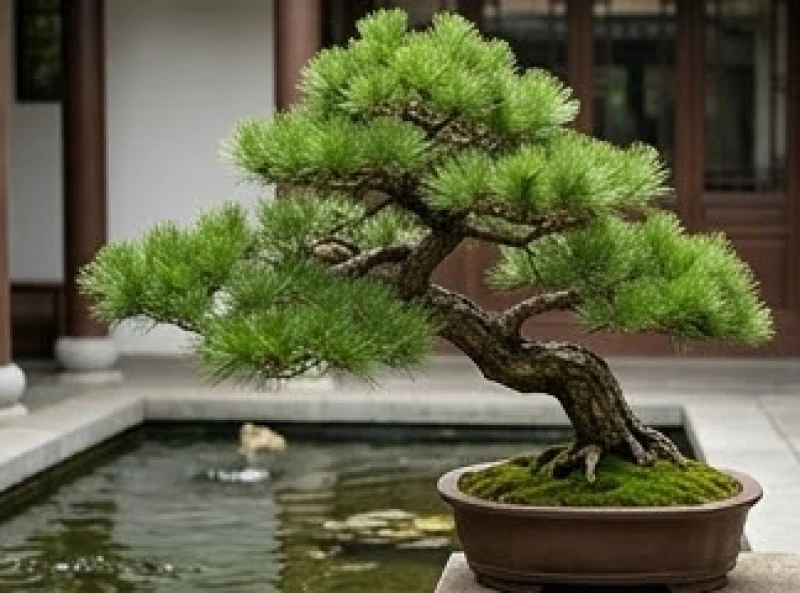 Tử vi tuổi Canh Dần 1950 năm 2027: giải hạn và sức khỏe tuổi 78 2 Cây tùng bách bonsai xanh tốt đặt cạnh hồ nước nhỏ êm đềm trong sân vườn