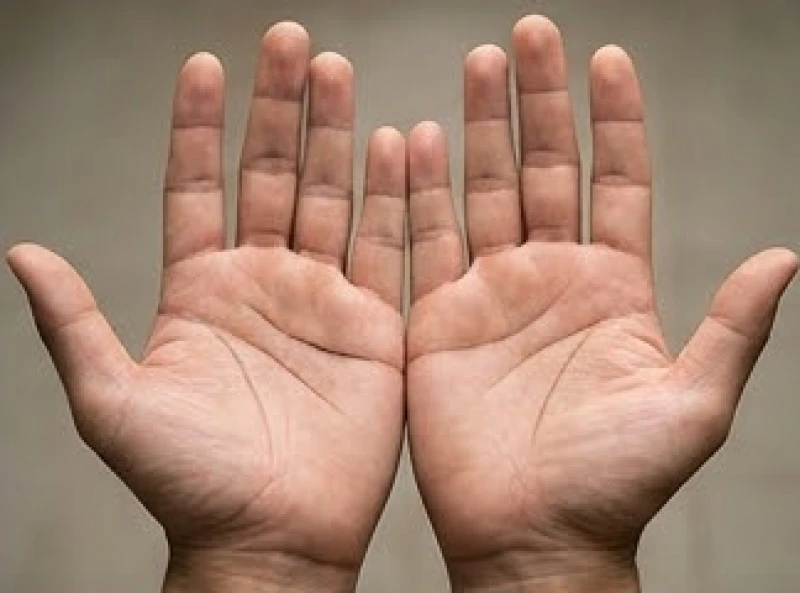 Hai lòng bàn tay đặt cạnh nhau thể hiện sự khác biệt giữa tay chủ động và tay thụ động