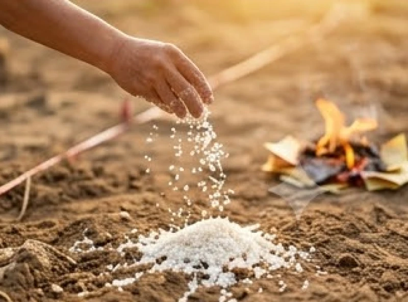 Nắm gạo trắng và muối hột được rải đều xung quanh ranh giới lô đất sau khi hoàn tất nghi thức cuốc móng