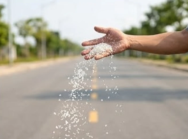 Hành động vung tay rải mạnh đĩa muối gạo ra các hướng xung quanh ngã đường để khao thực