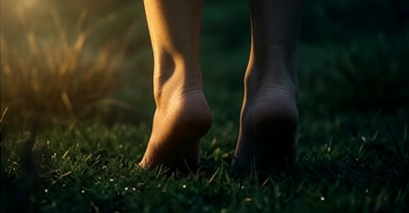 Mơ thấy rắn cắn vào chân: Giải mã vị trí, chảy máu và bộ số 2 Hai gót chân người đứng trên thảm cỏ ướt sương, ánh sáng chiếu rọi vào bên trái tạo sự tương phản