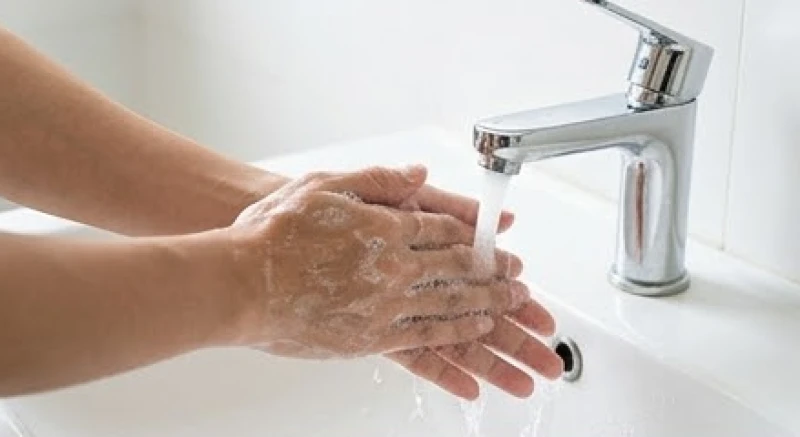 Thằn lằn ị lên người là điềm gì: Ý nghĩa vị trí & cách giải xui 1 Rửa sạch vùng da dính phân thằn lằn bằng xà phòng diệt khuẩn dưới vòi nước chảy