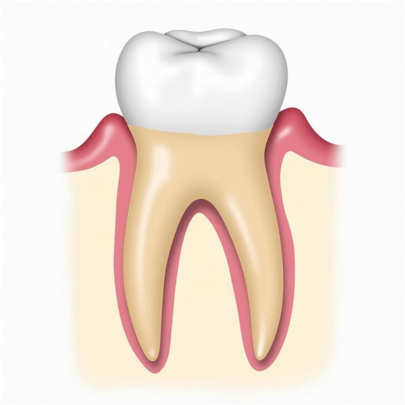 Losing Upper Teeth