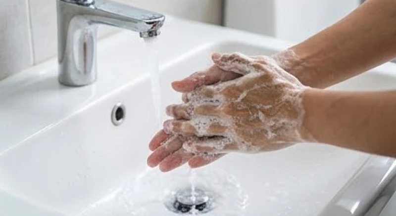 Chim ỉa vào người là điềm gì: Tra cứu vị trí và mẹo vệ sinh 7 Rửa vùng da tiếp xúc với phân chim bằng xà phòng diệt khuẩn dưới vòi nước sạch kịp thời