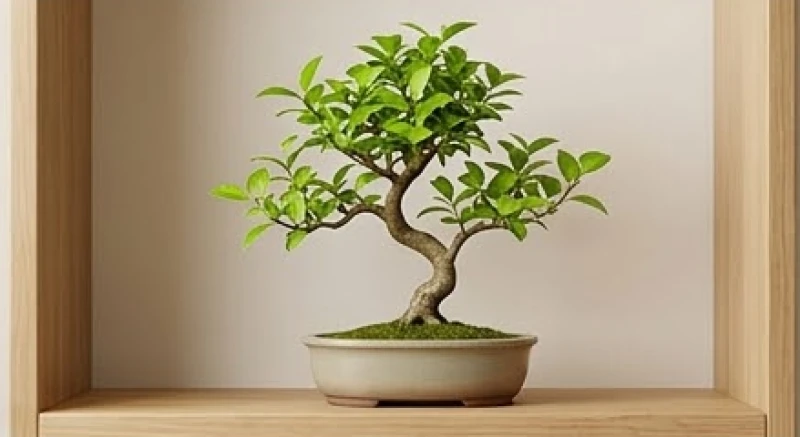 Số 4 hành Mộc đại diện cho sự sinh sôi nảy nở trong phong thủy