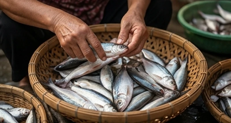 Quá trình phân loại và loại bỏ những con cá không đạt chất lượng để giữ lại phần tươi ngon nhất