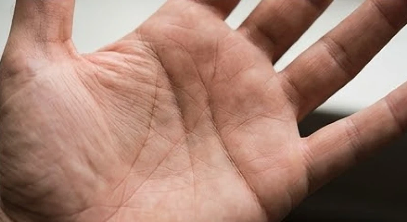 Đường tâm đạo dài uốn cong sâu và trượt hẳn vào khe hở nằm giữa ngón tay trỏ và ngón tay giữa