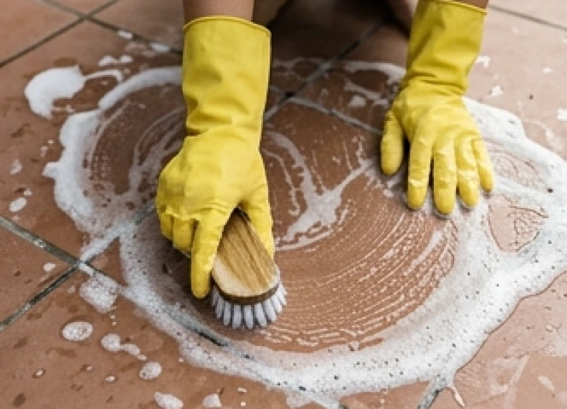 Chó ỉa trước cửa nhà là điềm gì? Giải mã tâm linh & cách xử lý 7 Chà xát bề mặt sân xi măng bằng bàn chải và nước tẩy Javen để phá vỡ cấu trúc pheromone