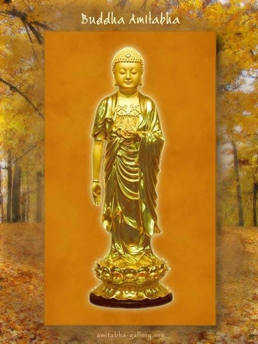 Đức Phật A Di Đà phát 48 lời nguyện để tiếp dẫn chúng sanh về nước Cực Lạc