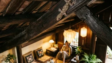 Hình ảnh minh họa giúp bạn giải đáp thắc mắc thằn lằn ị lên người la điềm gì theo phong thủy và khoa học