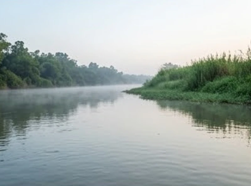 Văn khấn thả cá phóng sinh: Bài cúng chuẩn từng dịp và cách thả 4 Bờ sông tĩnh lặng phủ sương sớm với mặt nước êm ả thích hợp cho việc thả cá