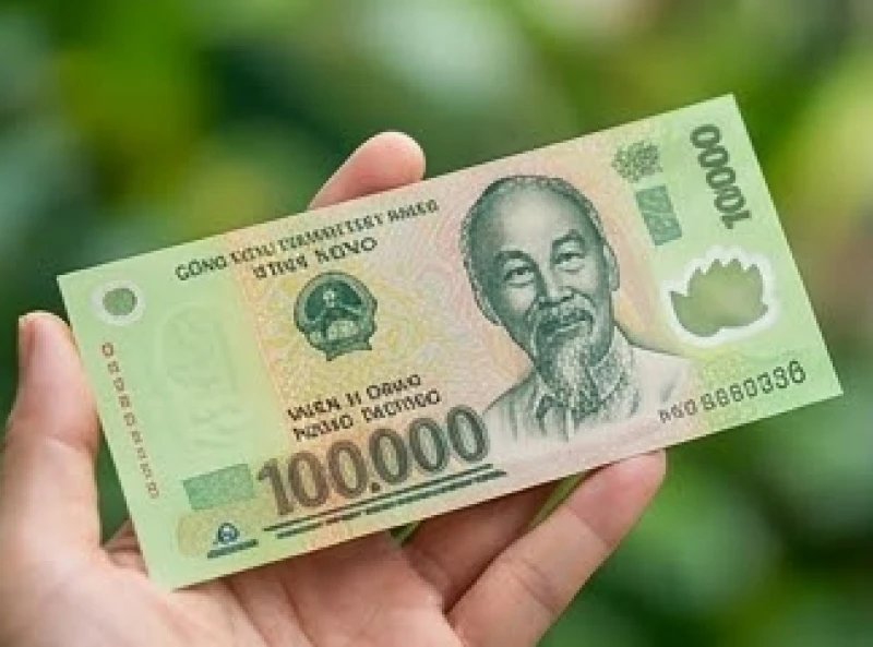 Cận cảnh tờ tiền một trăm nghìn polyme mới cứng màu xanh lá mang biểu tượng của sự sinh sôi nảy nở vượng khí