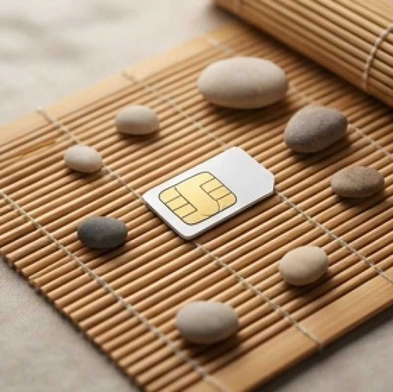 Sim phong thủy tuổi Sửu: Bảng tra nam nữ & tự lập quẻ Kinh Dịch 6 Các con số phong thủy được xếp tỉ mỉ từ những viên sỏi nhỏ trên mặt bàn
