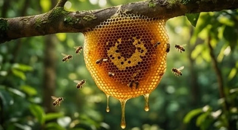 Đàn ong thợ đang nhộn nhịp bay lượn quanh một tổ ong mật tự nhiên trên cành cây mang đầy mật ngọt