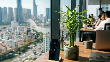 Bố trí không gian văn phòng hợp phong thủy để giải đáp tuổi dần đặt bàn làm việc hướng nào thu hút tài lộc
