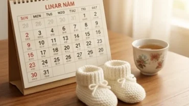 Lịch âm dương truyền thống Việt Nam và đôi giày em bé tượng trưng cho tuổi dậu sinh con tháng nào tốt
