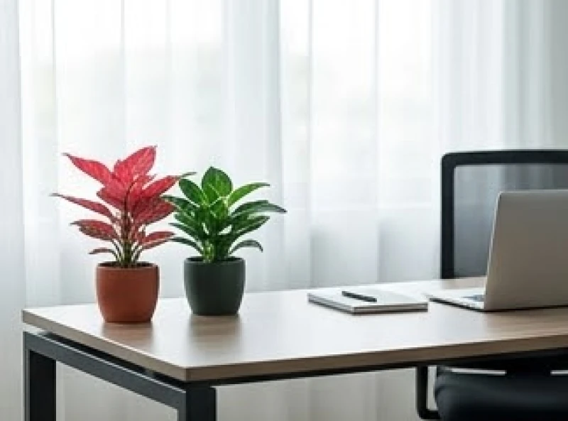 Chậu cây lá đỏ và cây lá lục được bố trí hài hòa trên góc bàn làm việc văn phòng đón ánh sáng tự nhiên