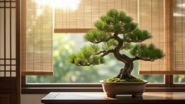 Không gian sống bố trí phong thủy hài hòa với cây bonsai tùng bách dành cho tuổi Tân Mão 1951