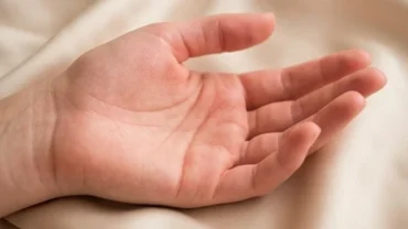 Đặc điểm tướng bàn tay mềm hồng hào đại diện cho vận mệnh phú quý và cuộc sống hậu vận an nhàn