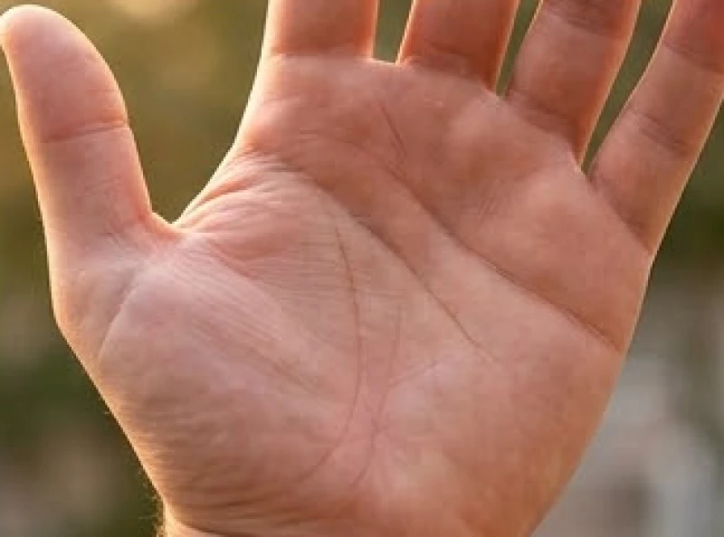 Lòng bàn tay nổi bật với các gò thịt nhô cao mạnh mẽ, đi kèm những đường chỉ tay sâu nét và liền mạch.