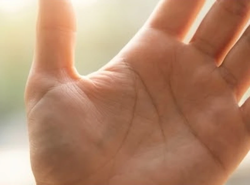 Phần kẽ ngón trỏ và ngón cái có đường sinh mệnh bắt đầu bằng một vân đảo nhỏ cho thấy tuổi thơ hay ốm vặt