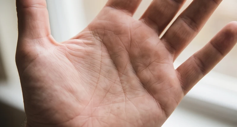 Đường chỉ tay tách làm hai nhánh ngắn bằng nhau tạo thành hình đuôi cá rõ rệt