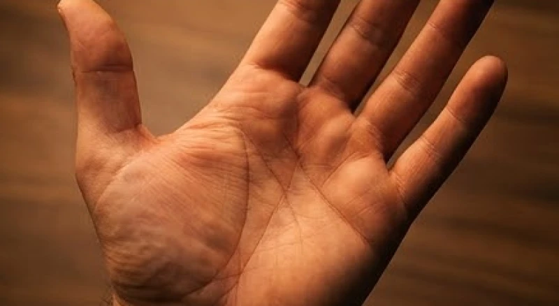 Lòng bàn tay hiện rõ vân chữ M kết hợp với các đường chỉ tay hỗ trợ vận may khi xuất ngoại