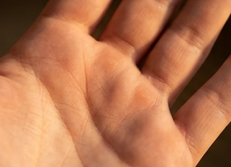 Rãnh lõm sắc nét nằm ngay ranh giới dưới đốt ngón tay mang ý nghĩa may mắn về phúc khí