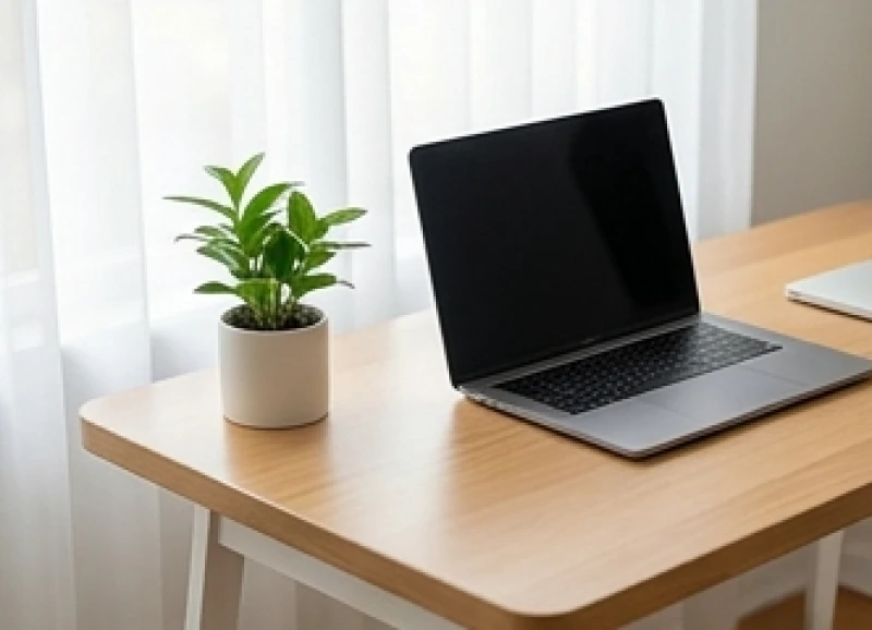 Tuổi Mão hợp cây gì: Chọn đúng mệnh, chuẩn hướng và ngân sách 7 Chậu cây cảnh mini đặt gọn gàng ở góc bên trái bàn làm việc cạnh chiếc máy tính xách tay
