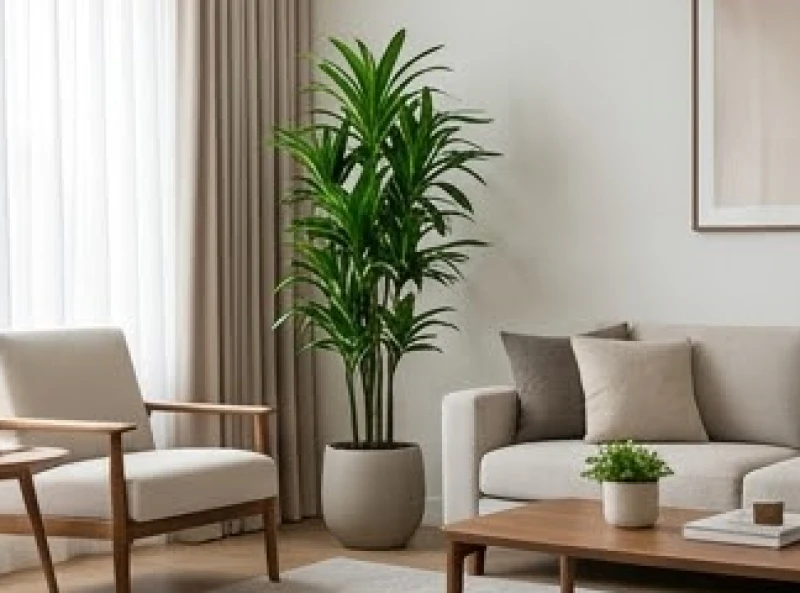 Góc chéo 45 độ tính từ cửa chính là điểm tụ khí lý tưởng để trưng bày cây cảnh phong thủy