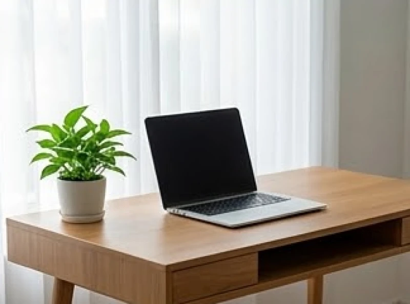 Chậu cây cảnh nhỏ gọn được sắp xếp gọn gàng ngay tại góc bên trái của bàn làm việc