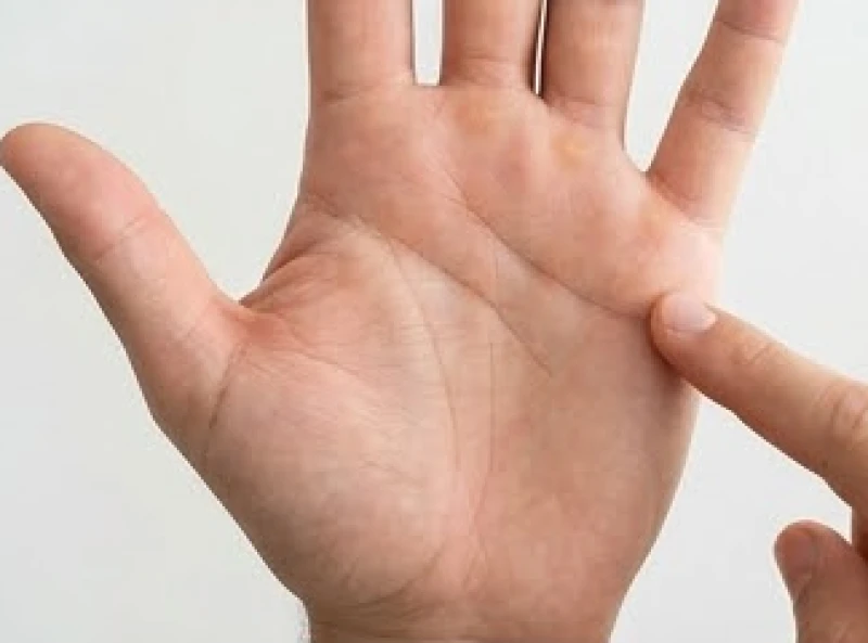 Đường sức khỏe bị đứt đoạn: Ý nghĩa và dấu hiệu hóa giải 3 Bàn tay được mở rộng chỉ rõ khu vực gò Thái Âm và gò Thủy Tinh ở mép ngoài