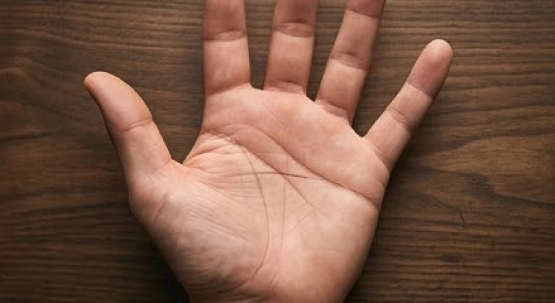 Lòng bàn tay của người đàn ông mở rộng cho thấy vị trí đường tình duyên nằm ngang