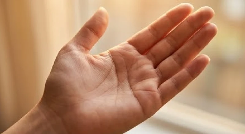 Bàn tay phải của nữ giới được đánh dấu rõ ràng vị trí bắt đầu của đường tình duyên ở sát mép ngón út