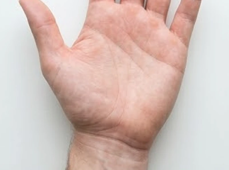 Khu vực mép ngoài sát cổ tay là gò Thái Âm đóng vai trò làm điểm hướng tới cho đường sức khỏe chạy chéo xuống