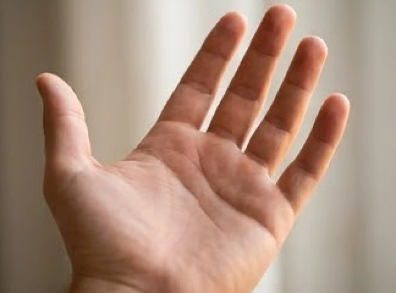 Bàn tay mở rộng với điểm nhấn tại phần thịt nhô lên ngay dưới gốc ngón tay giữa