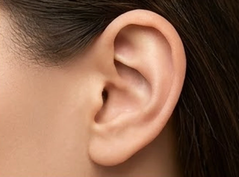 Nốt ruồi ở vành tai: Ý nghĩa tướng số và lưu ý tẩy an toàn 6 So sánh các vị trí nốt ruồi ở vành tai, dái tai và cuống tai để nhận diện chính xác điềm báo phong thủy