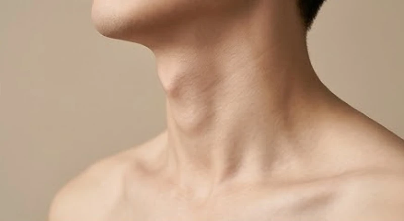 Nốt ruồi ở yết hầu: Ý nghĩa tướng số và bảng giá tẩy an toàn 2 Các vị trí nốt ruồi ở yết hầu bao gồm chính giữa, lệch trái, lệch phải và bên dưới hõm cổ.