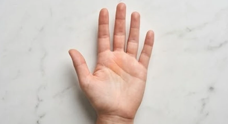 Đường trí đạo ngắn: Ý nghĩa, cách nhận diện và giải pháp khắc phục 2 Bàn tay dóng một đường thẳng tưởng tượng từ ngón giữa xuống để đo độ dài đường trí đạo