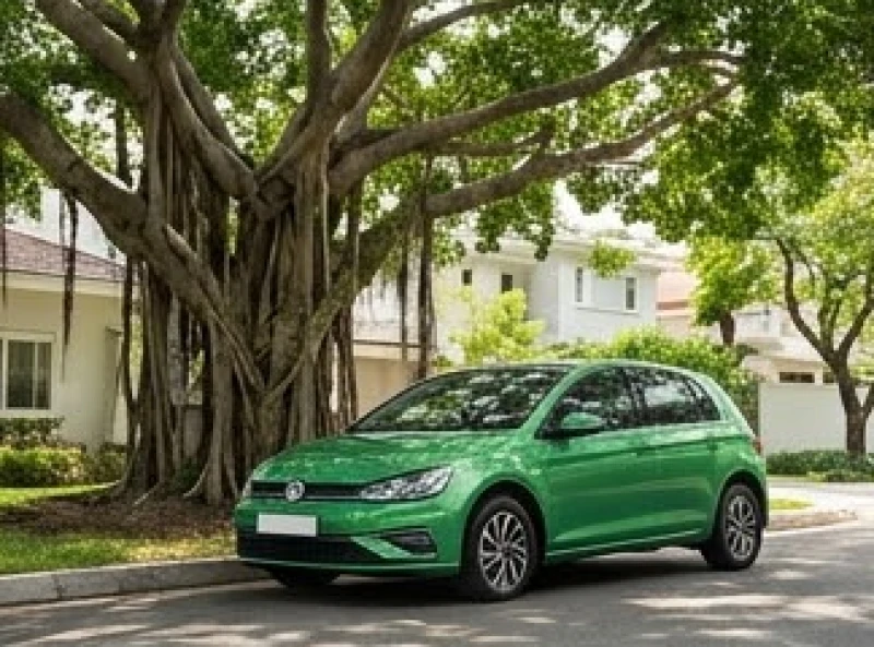 Chiếc xe hatchback màu xanh lá cây đỗ dưới bóng cây rợp mát vào ban ngày