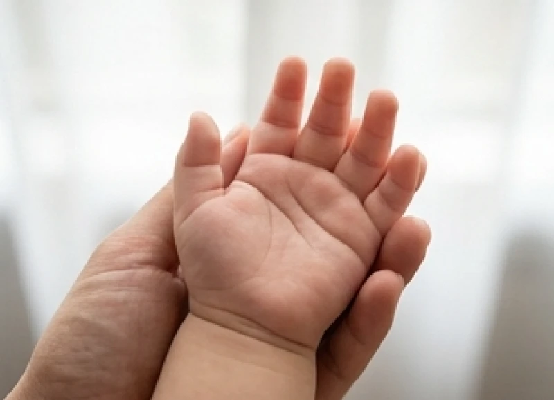 Xem chỉ tay trái hay tay phải: Quy tắc chọn tay và cách đối chiếu 10 Bàn tay nhỏ nhắn của trẻ em với các gò nổi đầy đặn phản ánh năng khiếu bẩm sinh