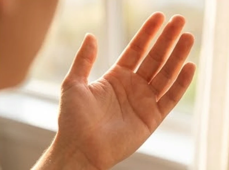 Bàn tay đưa ra hứng lấy ánh sáng tự nhiên để quan sát rõ những thay đổi li ti của các nét chỉ